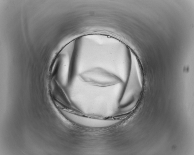 X0000091561525200709141526