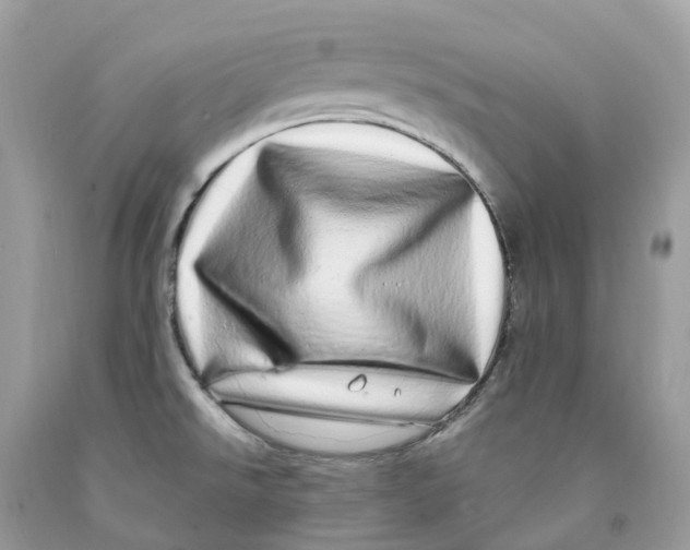 X0000091561526200709141526