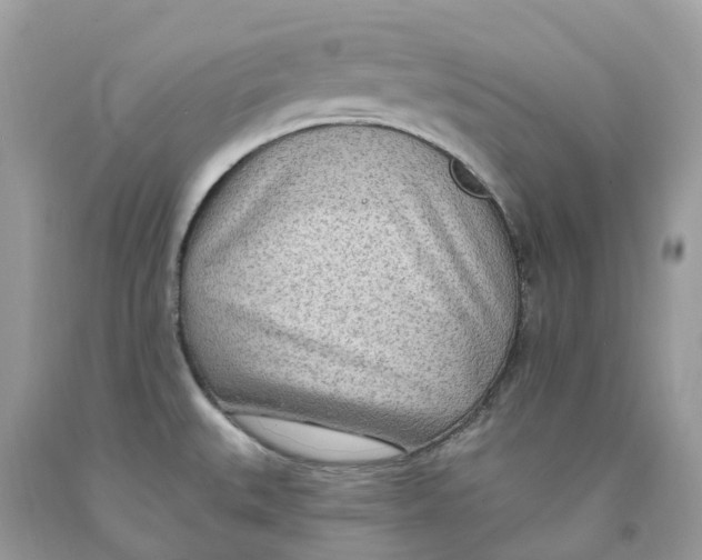 X0000091561527200709141526