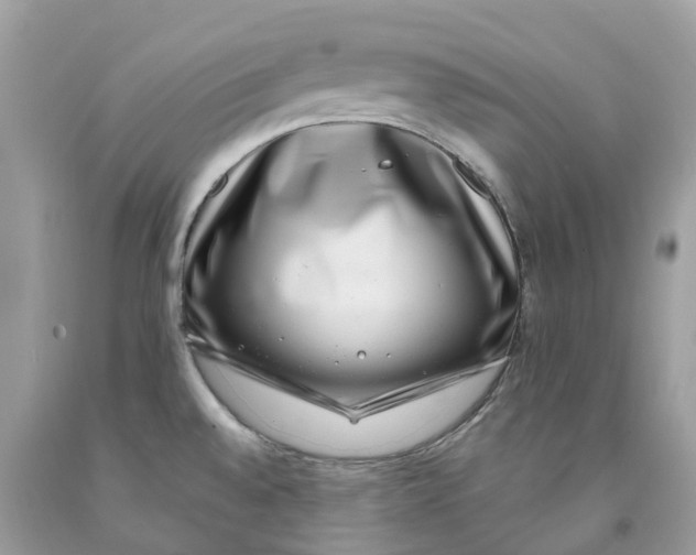 X0000091561528200709141526