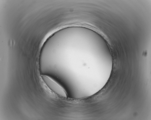 X0000091561530200709141526