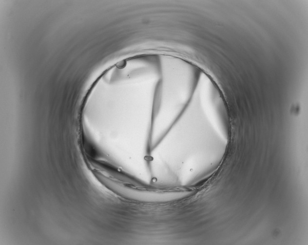 X0000091561531200709141526