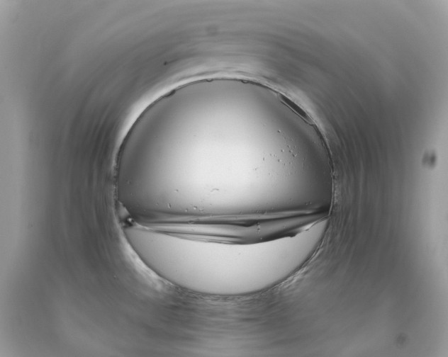 X0000091561532200709141526