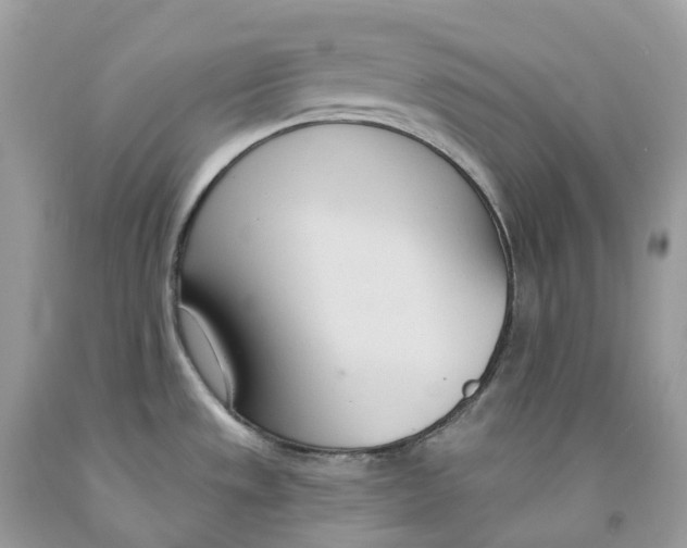 X0000091561533200709141526