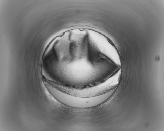 X0000091561534200709141526