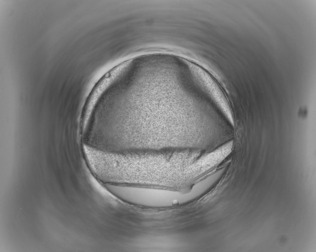 X0000091561535200709141526