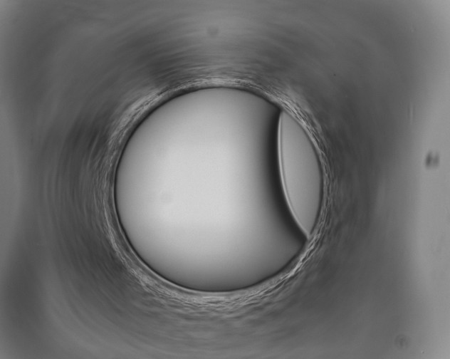 X0000091570001200708201001