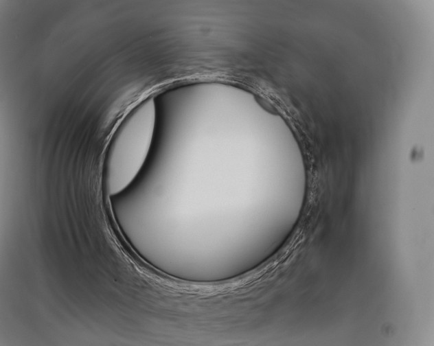 X0000091570002200708201001