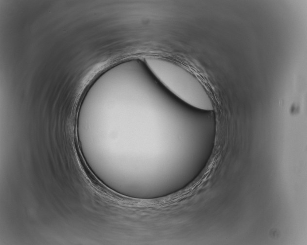 X0000091570003200708201001