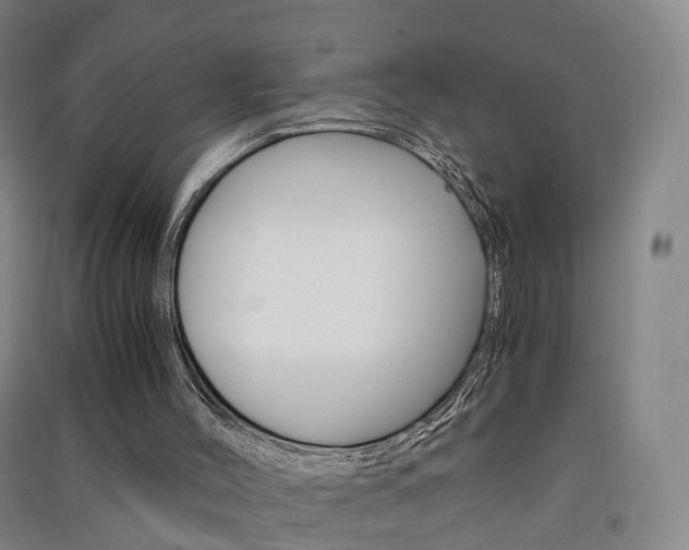 X0000091570004200708201001