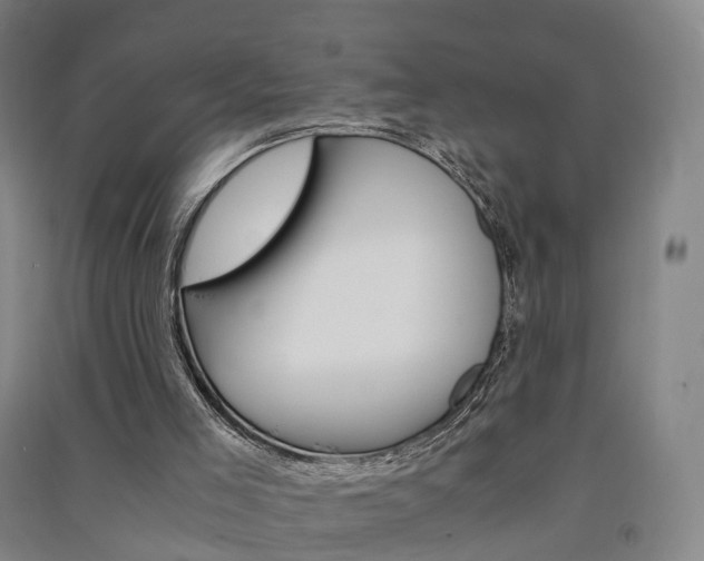 X0000091570005200708201001