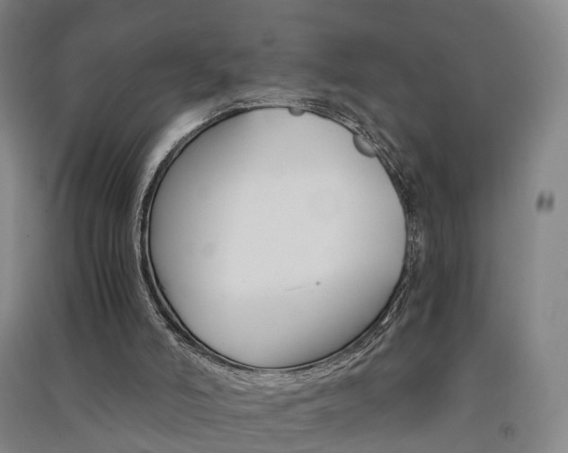 X0000091570006200708201001