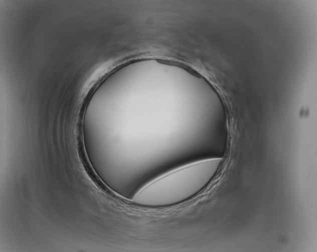 X0000091570007200708201001