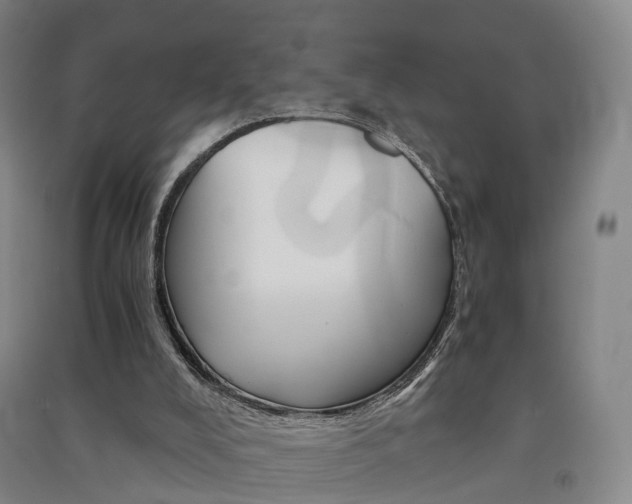 X0000091570008200708201001