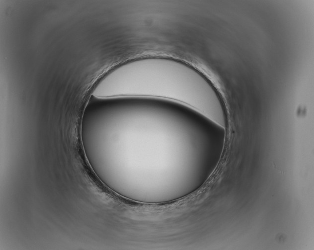 X0000091570009200708201001