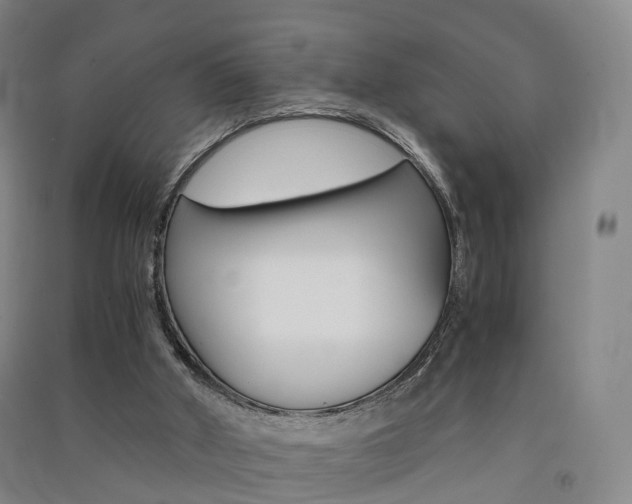 X0000091570010200708201001