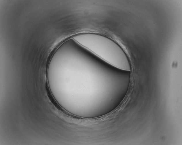 X0000091570011200708201001