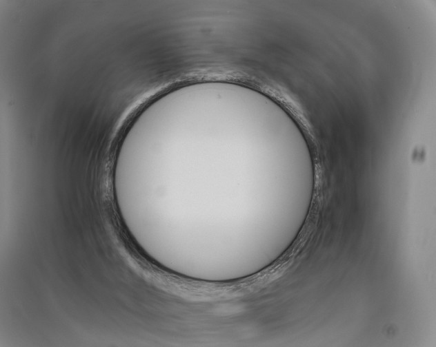 X0000091570012200708201001