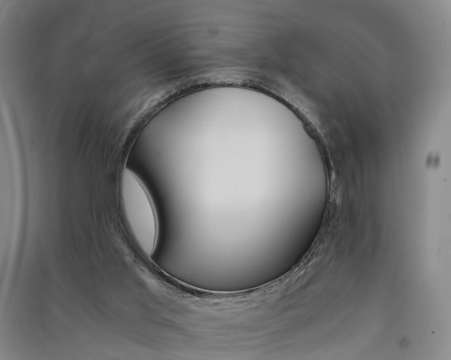X0000091570013200708201001