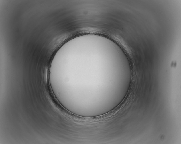 X0000091570014200708201001