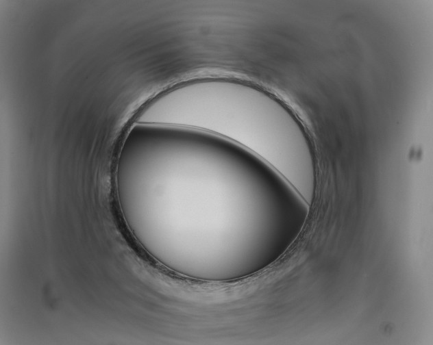 X0000091570015200708201001