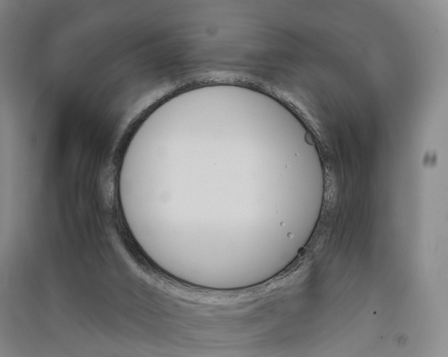 X0000091570016200708201001