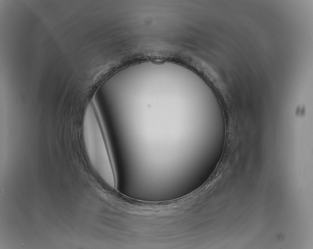 X0000091570017200708201001