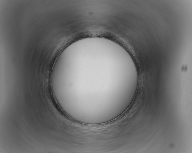X0000091570018200708201001