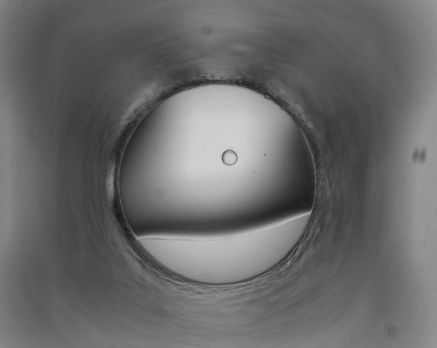 X0000091570019200708201001