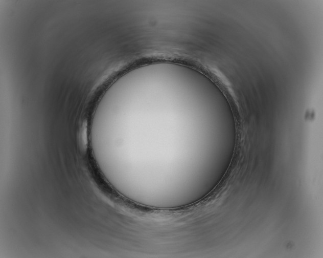 X0000091570020200708201001