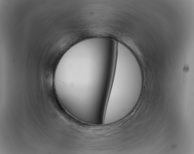 X0000091570021200708201001