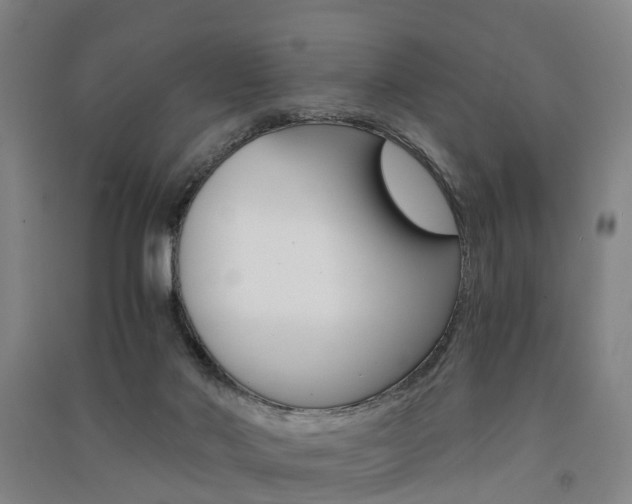 X0000091570022200708201001