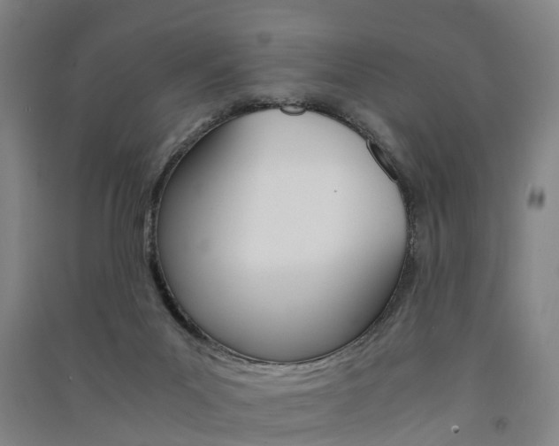 X0000091570023200708201001
