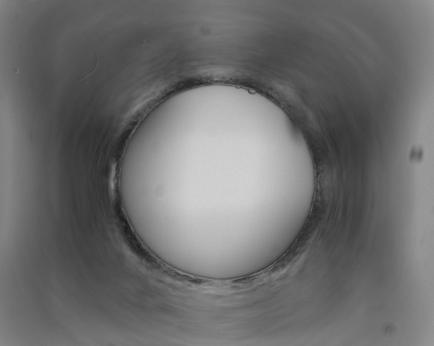 X0000091570024200708201001