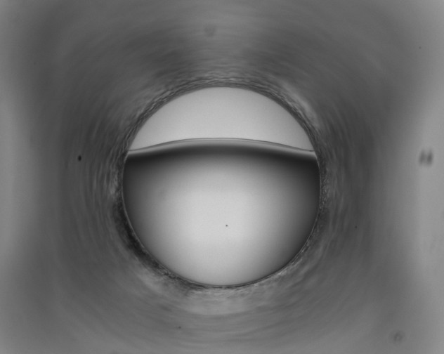 X0000091570025200708201001