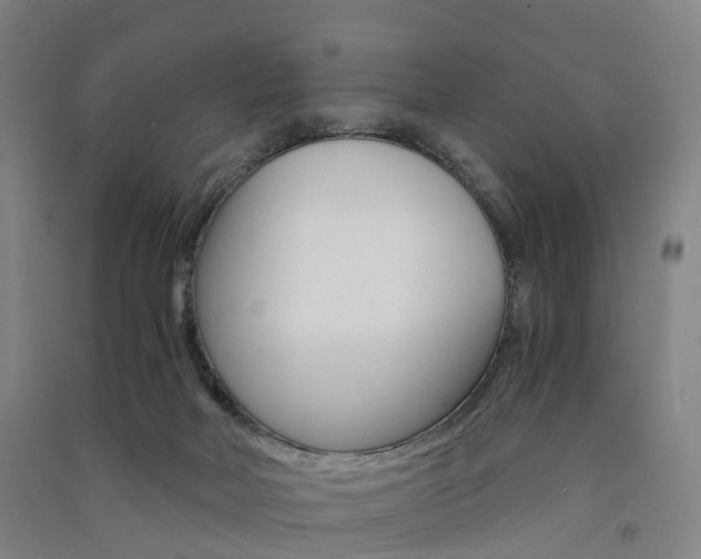 X0000091570026200708201001