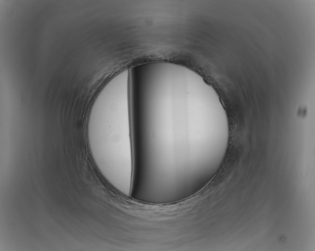 X0000091570027200708201001