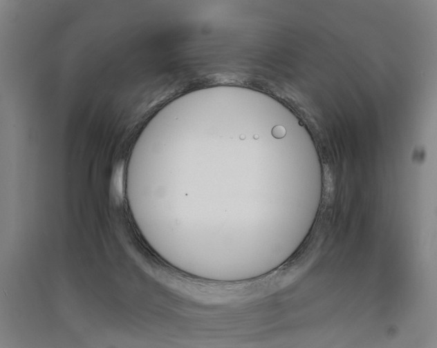 X0000091570028200708201001