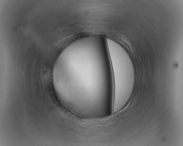 X0000091570029200708201001