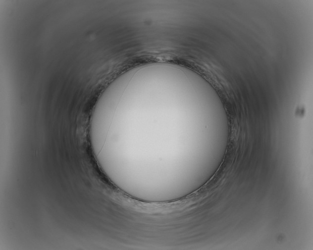 X0000091570030200708201001