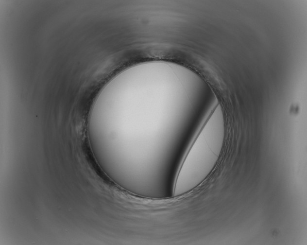 X0000091570031200708201001