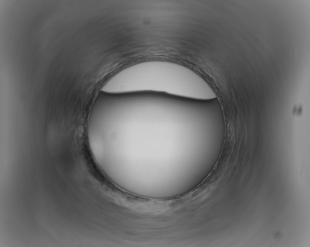 X0000091570032200708201001