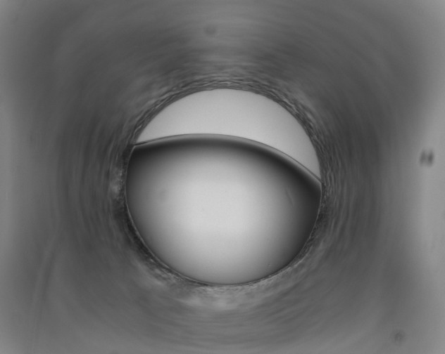 X0000091570033200708201001