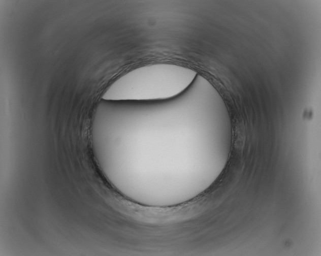 X0000091570034200708201001