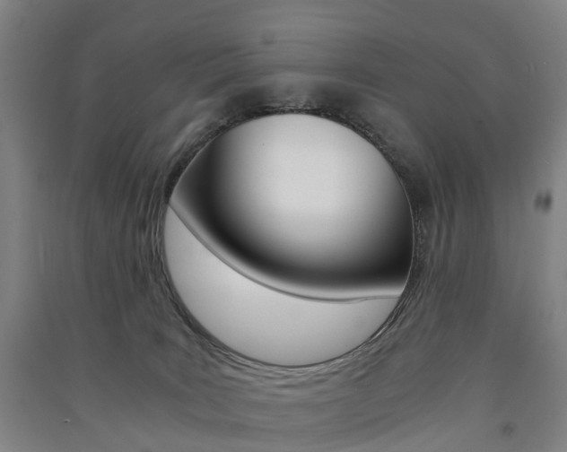 X0000091570035200708201001