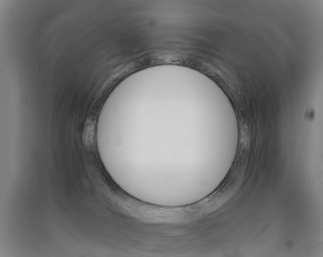 X0000091570036200708201001