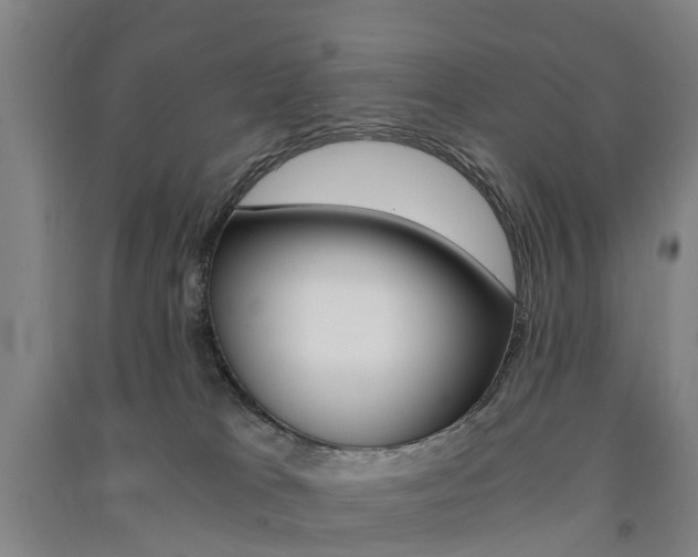 X0000091570037200708201001