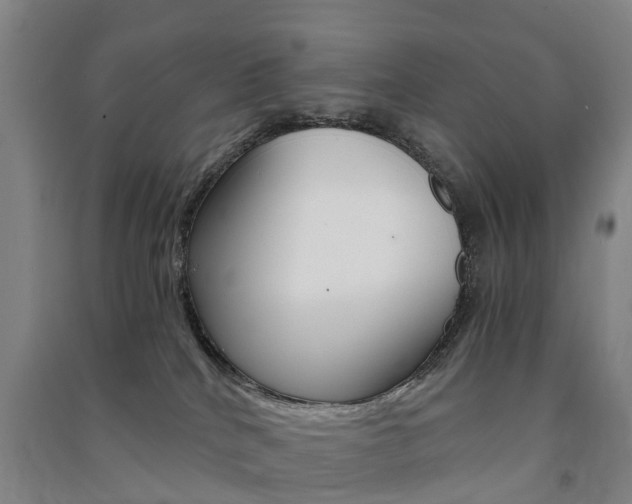 X0000091570040200708201001