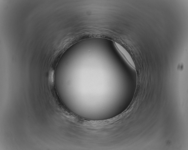 X0000091570041200708201001