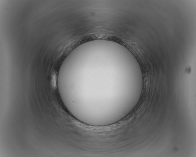 X0000091570042200708201001